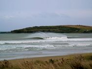 Porpoise & Curio Bays